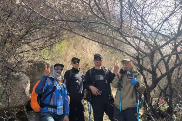 无桃花命：遇见内心的真实与成长之旅