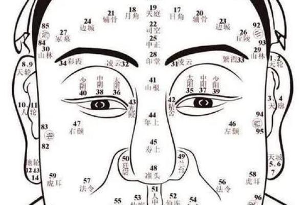 92年猴子的命运与性格特征全面解析