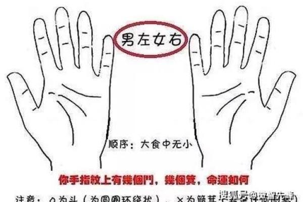 手掌中的秘密：教你看懂命运的指纹与线条