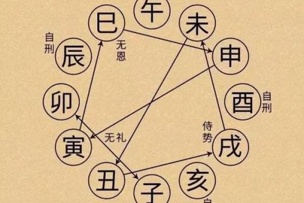 丙辰年出生的人命运解析：火龙的力量与机遇