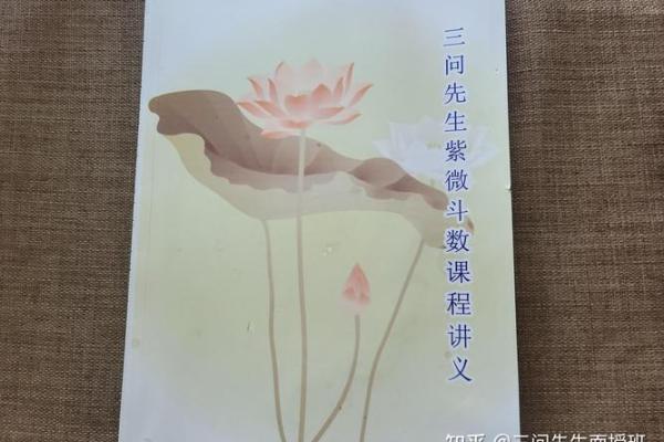 通过紫薇命盘解析出国之路：运势与机遇的奇妙结合