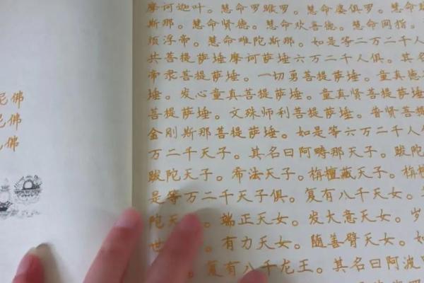 2000年出生的孩子契机与命运：探索他们的特点与未来之路