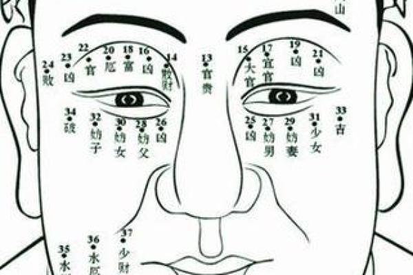 肚子黑痣的命理解析：它暗示了什么生活运势与性格特征？