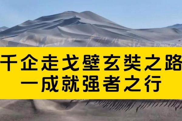 秀才是什么命：才子佳人的命运与成就之路