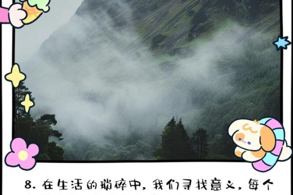 命里有的东西是什么？探寻生命的奥秘与心灵的答案