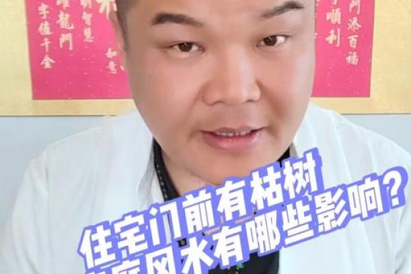 震命与坤宅：家居风水的深奥密码与生活指引
