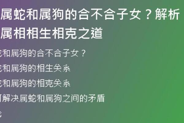 1933年属狗人生运势解析：你的命运之钥在这里！