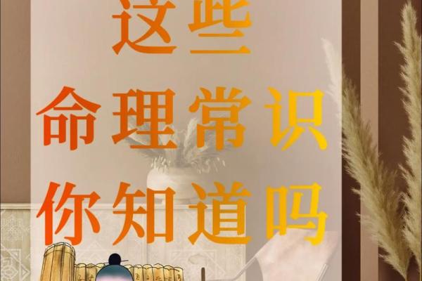 命理学的魅力：探索五行与八字的奥秘