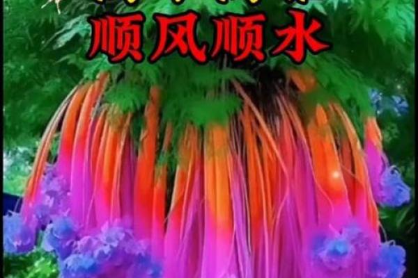 52岁属鸡的命运解析：如何顺风顺水，迎接人生辉煌
