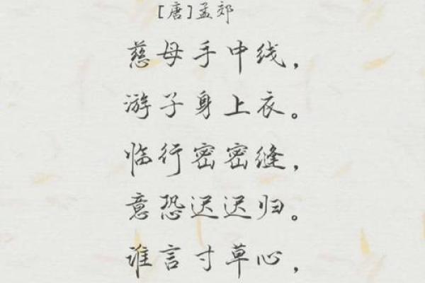 幽无命母亲的坚韧与无私：一段动人的母爱故事