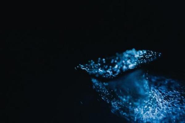 天秤命理解析：探寻水星的缺失与平衡之道