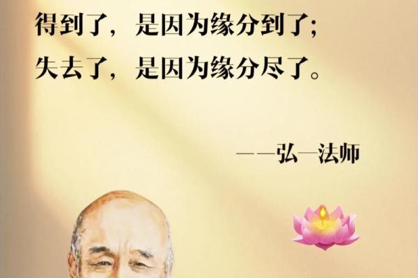 乙亥年出生的人命运与性格解析，揭示人生智慧与人生方向