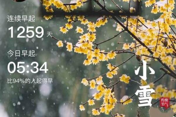 金命海中如何选择适合的吉祥物，助你扬帆远航！