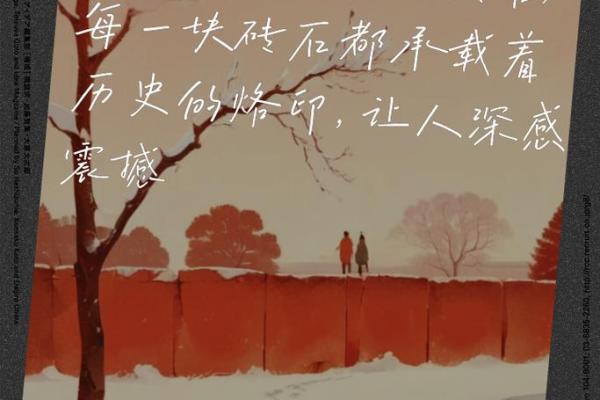 探寻清朝制命：权力的象征与历史的印记