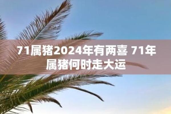 13岁属猪：命理解析与未来发展之路