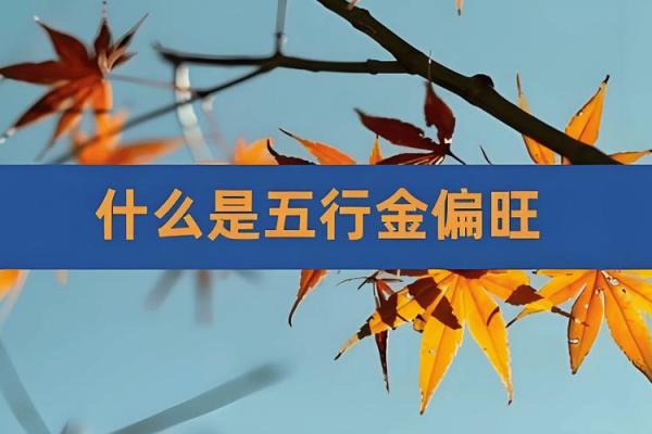 金命者适合养的小鸟：选择与命理相辅相成的小伙伴