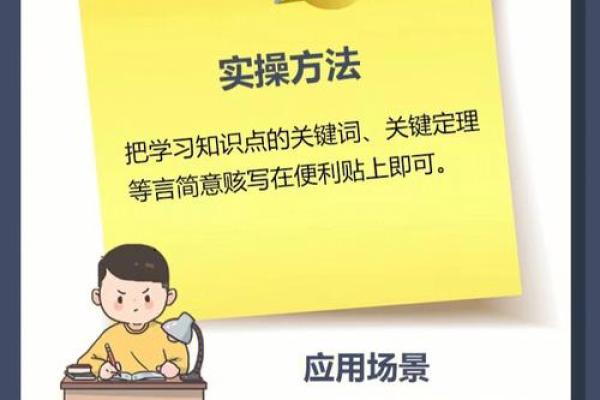 木命者如何事半功倍：提升效率的秘诀