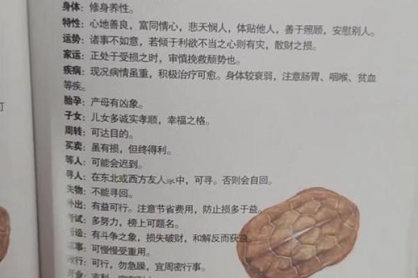 如何识别男女命，揭示命理的奥秘与智慧
