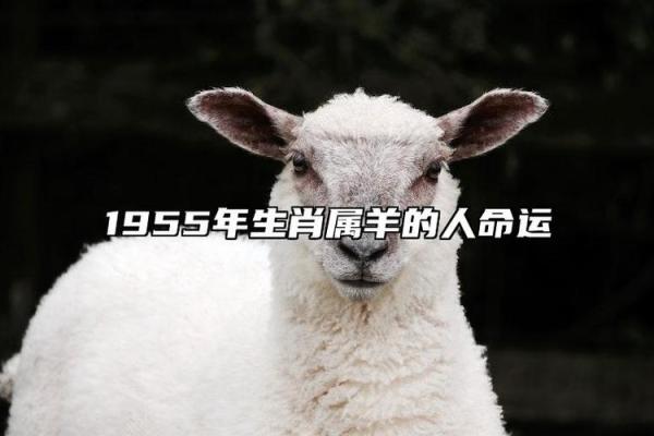 什么颜色的羊命不好：探讨生肖羊的命运解析与生活智慧