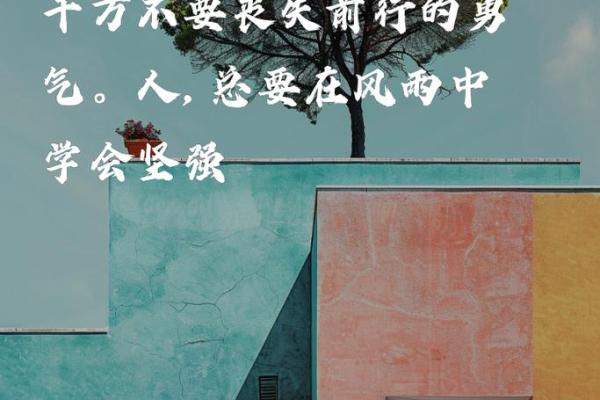 看什么都是命：命运眼中的人生哲学