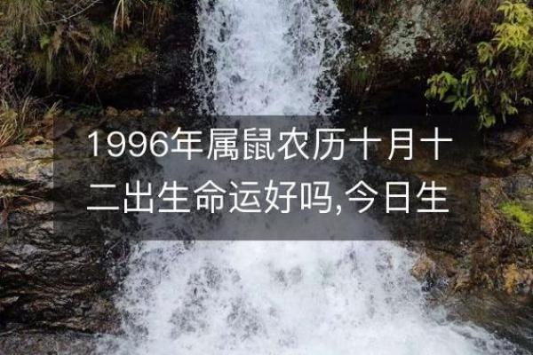 1996年属鼠的人：命运与性格的深度解析