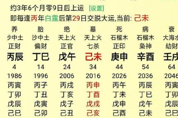 探秘乙卯年生人的命理特点与人生启示