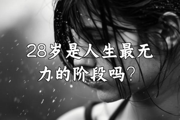 28岁属鸡的命运解析：探寻人生的关键一刻