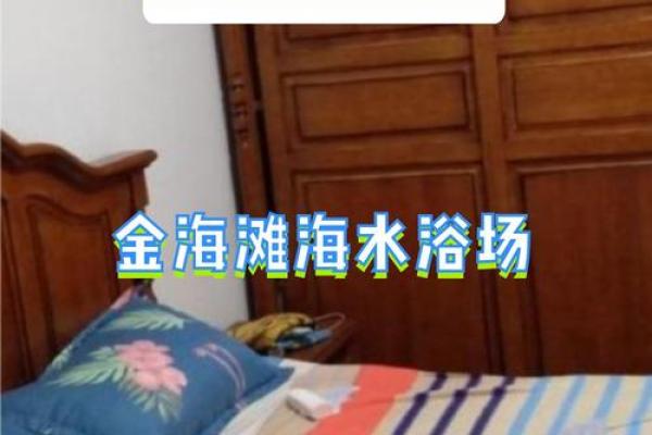 探索砂石金命的独特魅力与应用