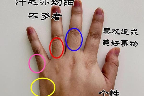 探秘手掌大川纹：揭示命运与人生的奥秘