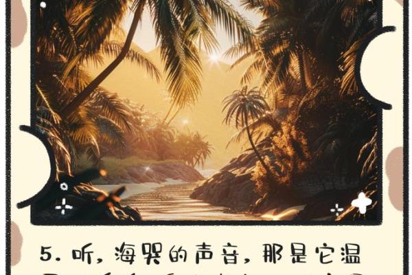 在大海的呼唤中寻求自由与梦想的归属
