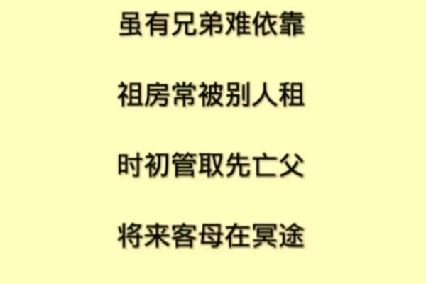 82年人属于什么命?揭秘八字命理的神秘与魅力 82年人属于什么命?揭秘八字命理的神秘与魅力