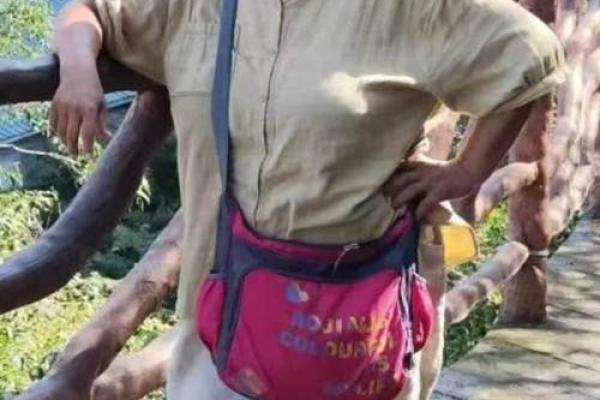 属猪女孩的命运:快乐与挑战并存的人生之旅 属猪女孩的命运:快乐与挑战并存的人生之旅