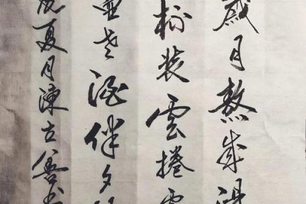 探秘生土命:如何通过数学提升生活质量与决策能力 探秘生土命:如何通过数学提升生活质量与决策能力