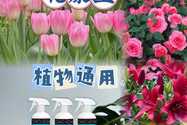 土命纹与神兽的奇妙结合:如何选择最适合的守护兽? 土命纹与神兽的奇妙结合:如何选择最适合的守护兽?