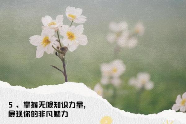 1990年出生的人命运与性格分析：命中的星辰与未来之路