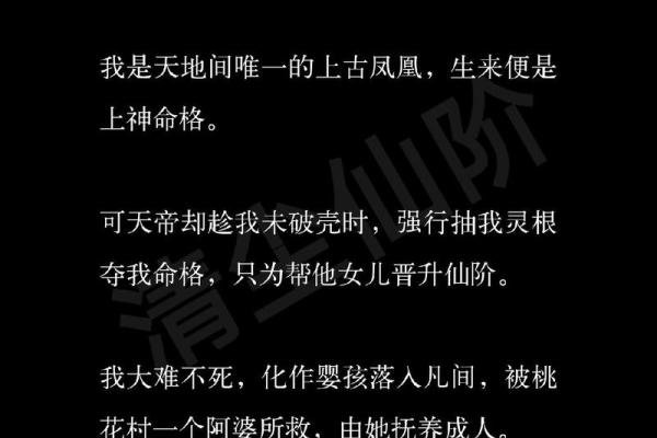 天帝命格解析:助你选择合适的命格搭配 天帝命格解析:助你选择合适的命格搭配