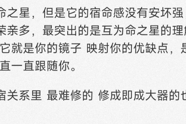为何命之星总是伴随于我，探寻宿命与自由的交织之路