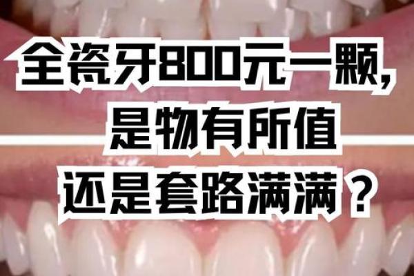 32颗牙齿的秘密:牙齿背后隐藏的人生智慧与命运探索 32颗牙齿的秘密:牙齿背后隐藏的人生智慧与命运探索