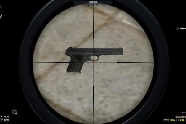 九命灵猫的神秘武器:探秘游戏中的枪械世界 九命灵猫的神秘武器:探秘游戏中的枪械世界