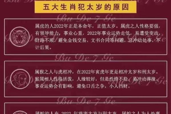 探索2019年属猪人的命格：解析生肖猪的性格特征与命运走势