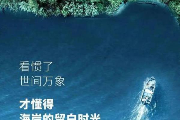 三十多岁属牛人与命运：踏实的步伐与未来的希望