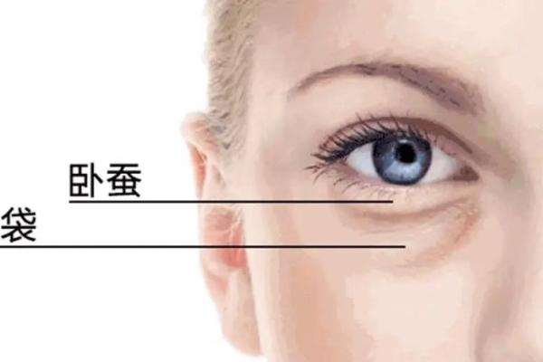 根据面相解析如何养贵子命的秘诀