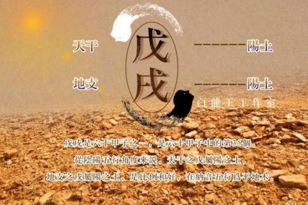 1998年正月出生命理解析：揭秘属于你的命运之钥