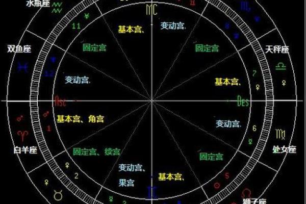 解密星座命盘：星体的神秘象征与人生启示