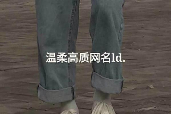 根据杨柳木命选择的网名，展现温柔如柳的气质和品味