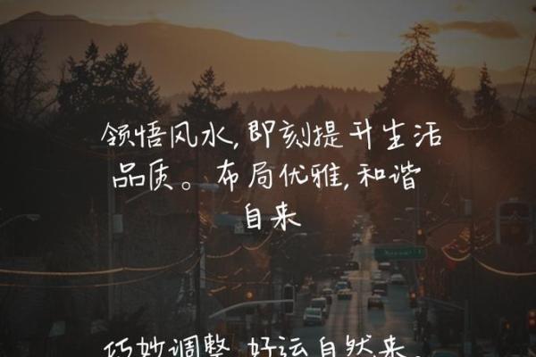 探秘土蛇1977年命运之道：如何把握人生的每一刻