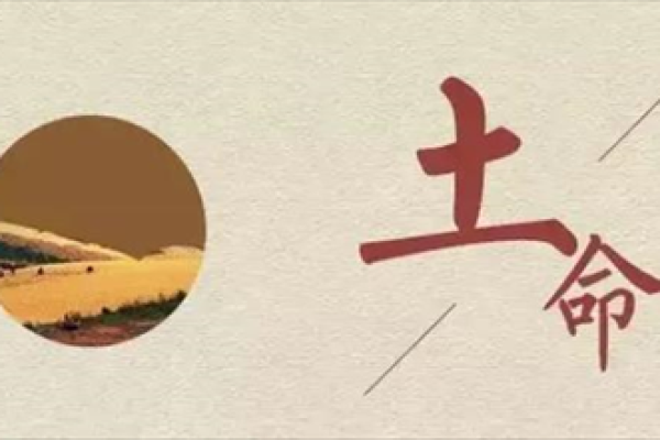 城墙土命的独特魅力与实用价值探究