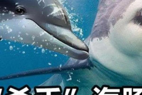 揭秘命魂灵石的神秘力量与独特作用 揭秘命魂灵石的神秘力量与独特作用