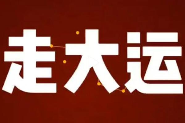 2026年属猪人命运解析:好运与挑战并存,你准备好迎接了吗? 2026年属猪人命运解析:好运与挑战并存,你准备好迎接了吗?