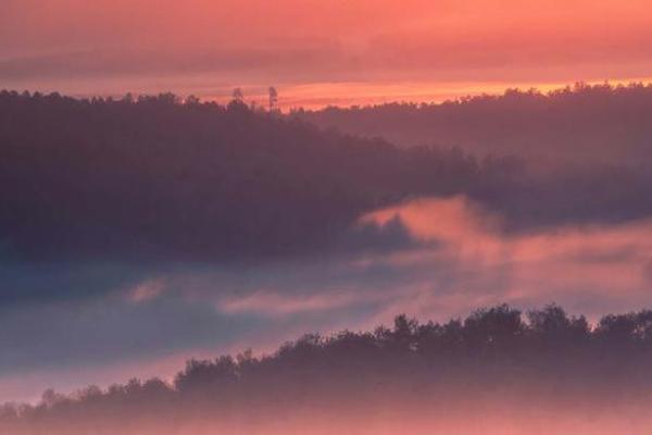 狗巡视有什么深刻的寓意,与属鸡人生的完美结合 狗巡视有什么深刻的寓意,与属鸡人生的完美结合